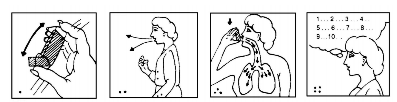 Instructiones ad usum